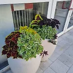 Apartment A7 U Jenicka V Chomutove