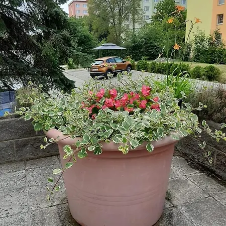 Apartment A7 U Jenicka V Chomutove