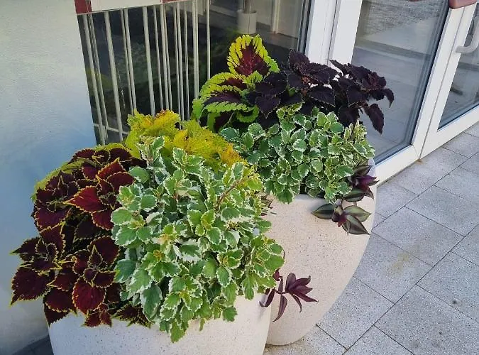 Apartman A7 U Jenicka V Chomutove